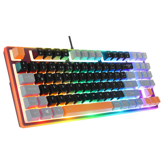 Acer eMachines EAK216 SiyahGriTuruncu USB Rainbow Aydınlatmalı Q Standart TKL Klavye