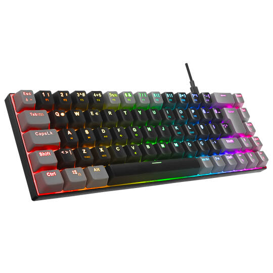 Acer eMachines EAK68 SiyahGri USB RGB Backlight RED SWITCH Mekanik Q 68 Tuşlu Mini Gaming Oyuncu Klavyesi