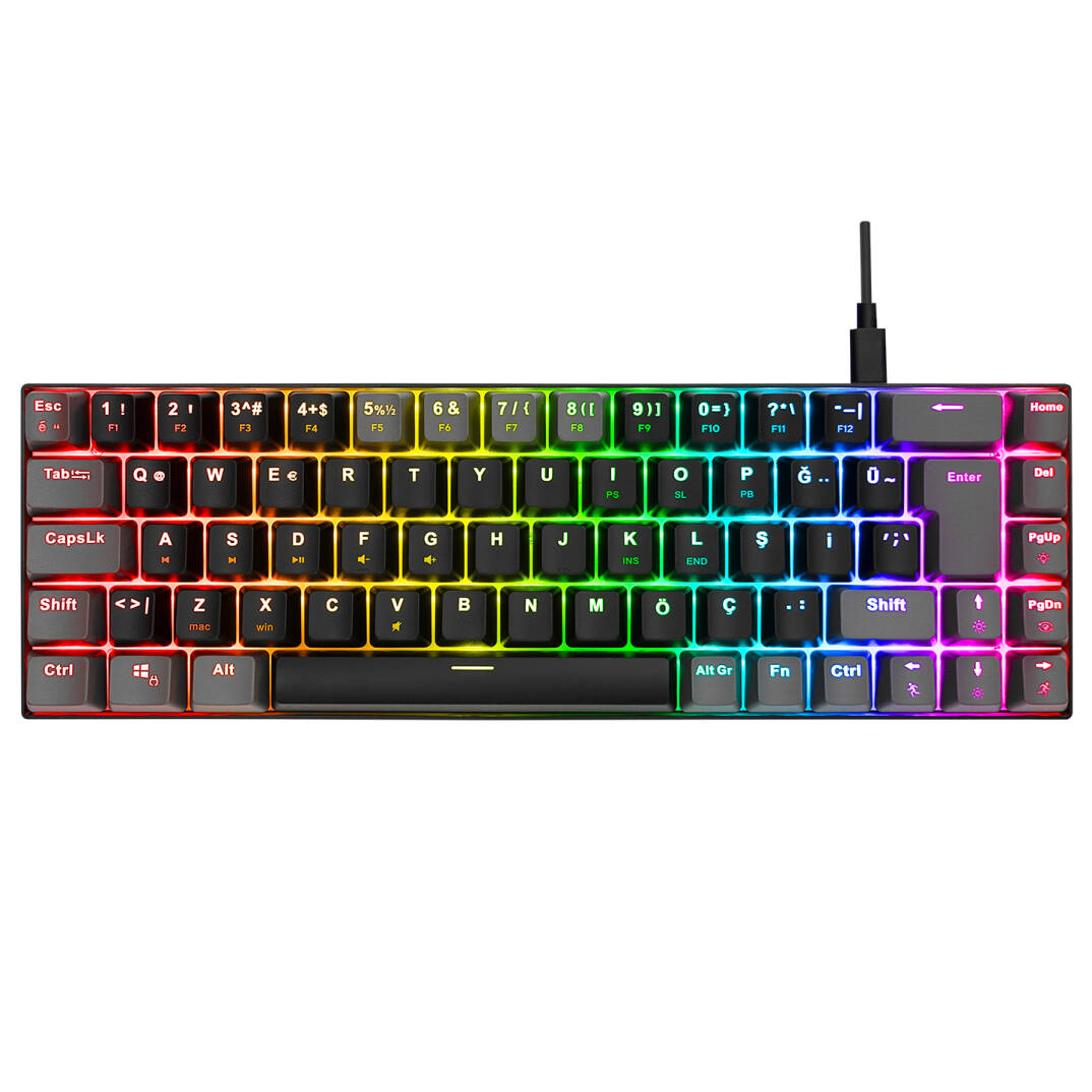 Acer eMachines EAK68 SiyahGri USB RGB Backlight RED SWITCH Mekanik Q 68 Tuşlu Mini Gaming Oyuncu Klavyesi - 2