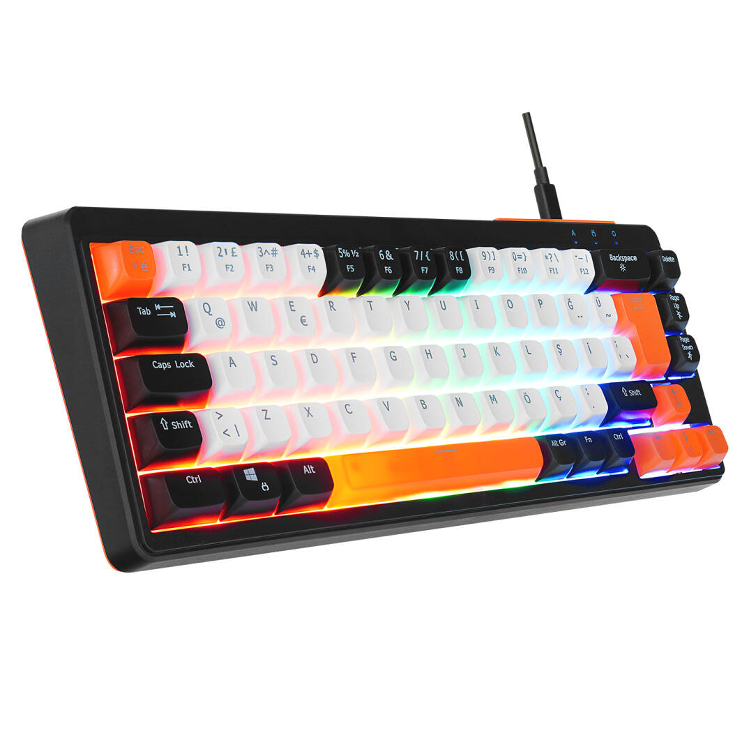 Acer eMachines EAK810 BejSiyahTuruncu USB Rainbow Aydınlatmalı Mini Q Standart Klavye - 1