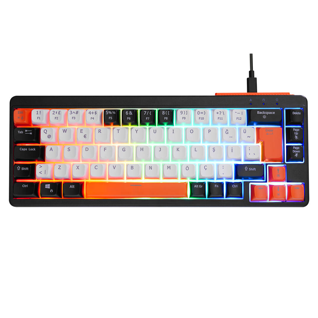 Acer eMachines EAK810 BejSiyahTuruncu USB Rainbow Aydınlatmalı Mini Q Standart Klavye - 2