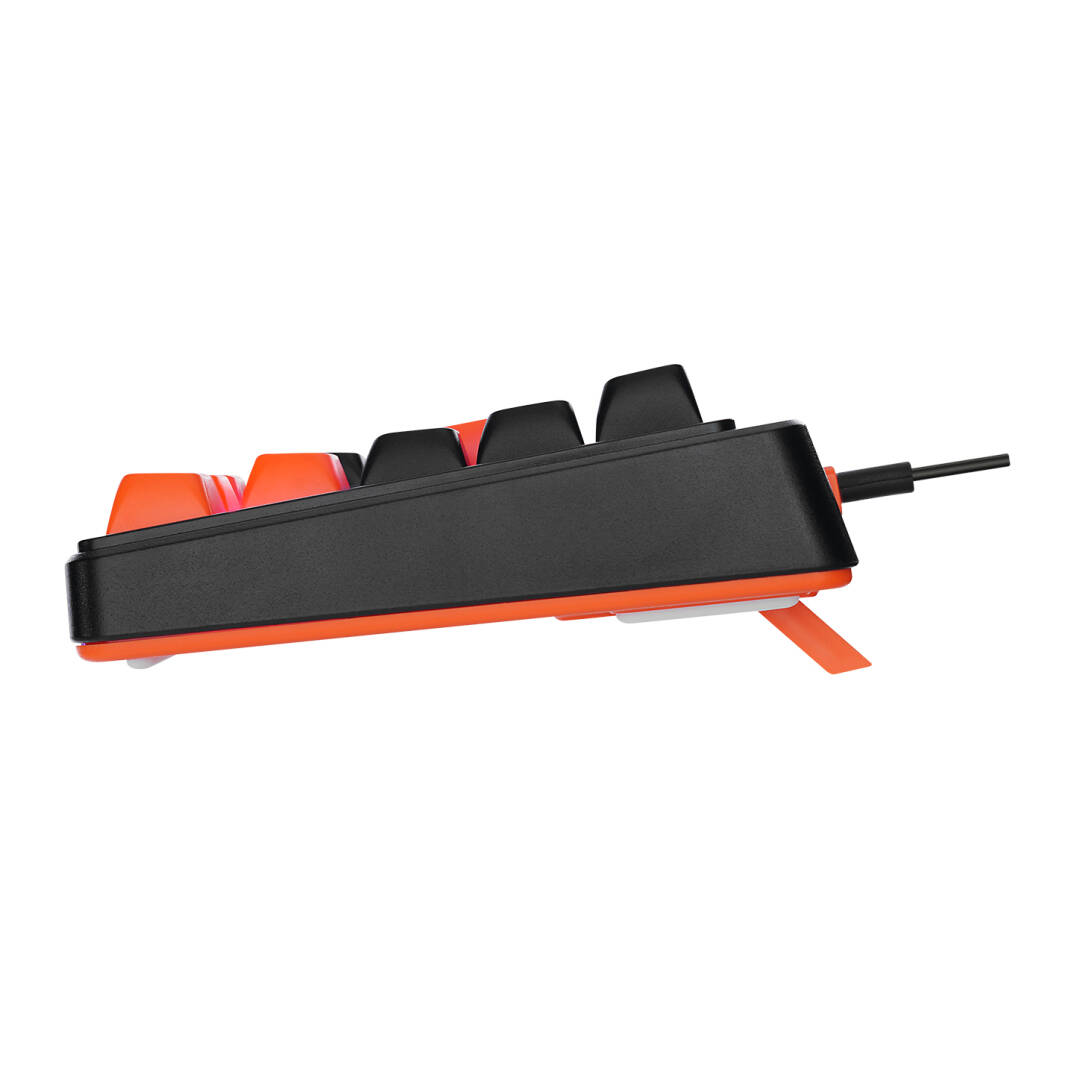 Acer eMachines EAK810 BejSiyahTuruncu USB Rainbow Aydınlatmalı Mini Q Standart Klavye - 6