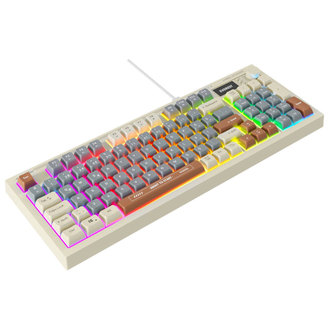 Everest KB-79 SILENT PRO Gri MaviGriKahve SESSİZ RGB Q Membrane Oyuncu Klavyesi - 2
